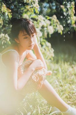 滤镜电视剧免费观看全集高清