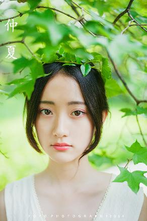 疯狂动物城二免费观看完整版普通话