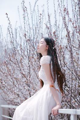 樱桃琥珀电视剧免费观看全集