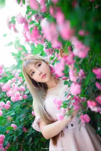 麻花影视MV免费观看完整版