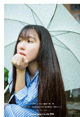 树影迷宫电视剧免费播放