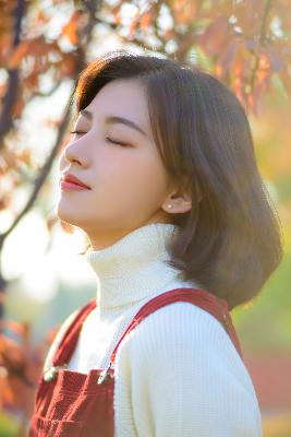 青楼十二房在线观看免费版电视剧全集